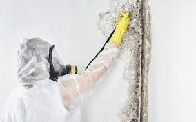 Best Industrial Mold Remediation  in Lakemoor, IL